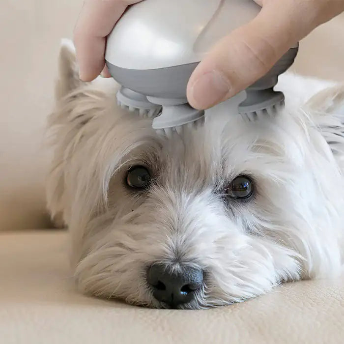 Masseur électrique pour animaux de compagnie