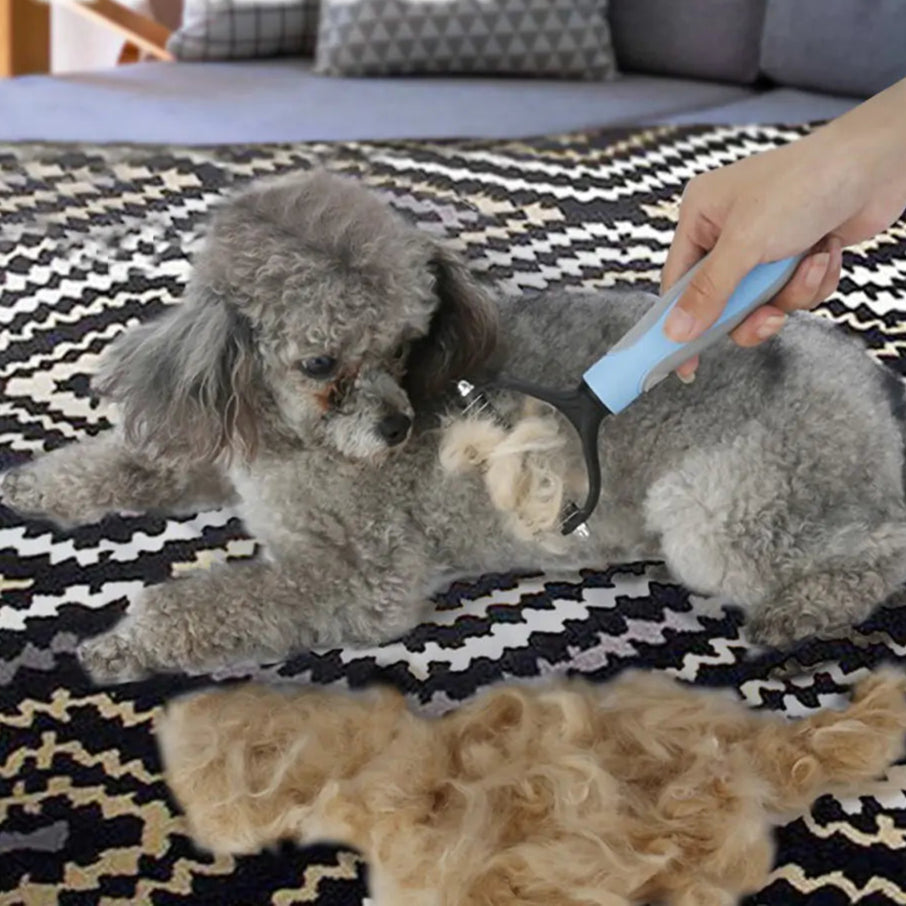 Outil de toilettage et de coupe pour animaux de compagnie