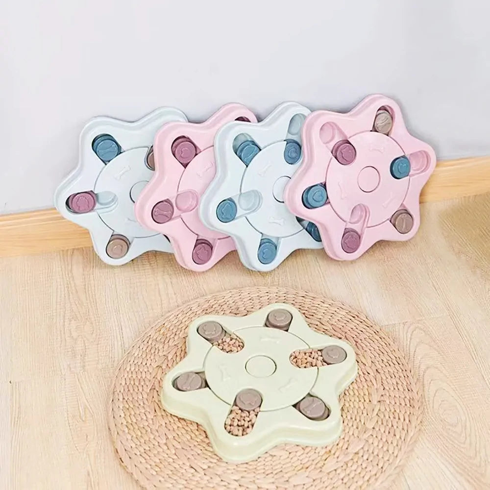 Jouets puzzle pour chien