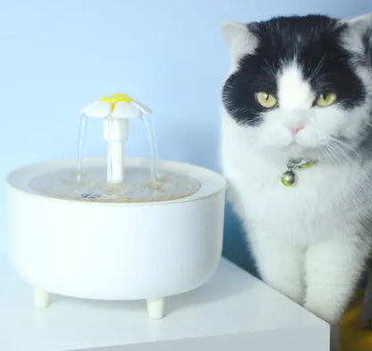 Fontaine à eau pour animaux de compagnie