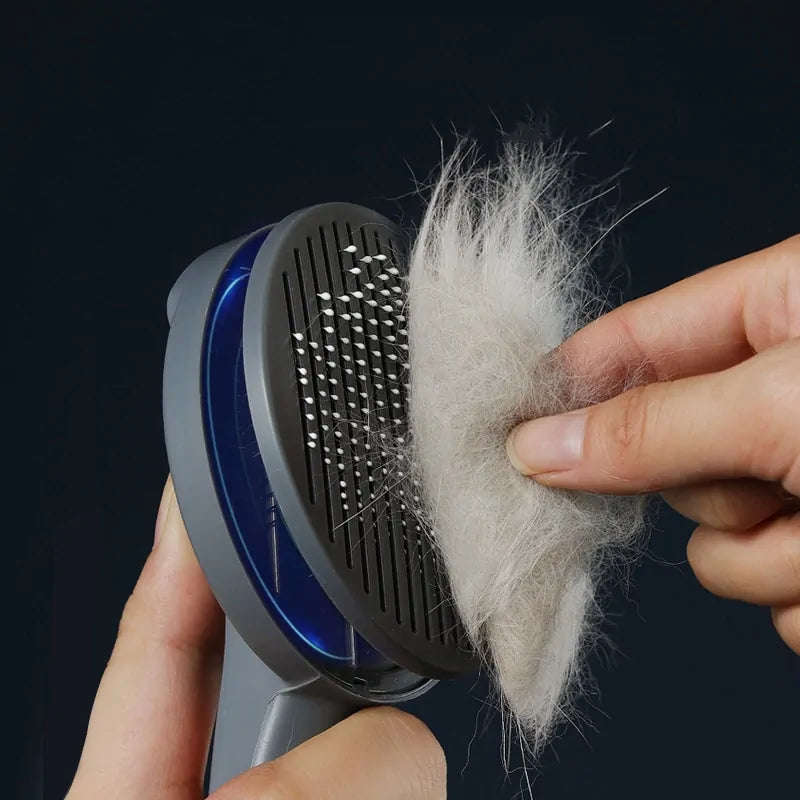 Brosse de toilettage pour animaux de compagnie