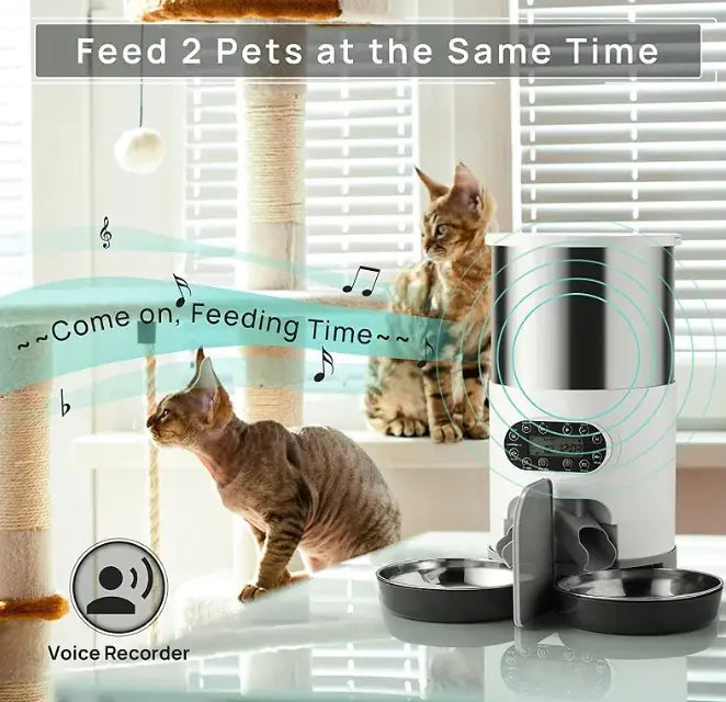 Distributeur de repas double pour animaux de compagnie