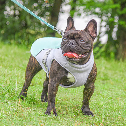 Gilet rafraîchissant pour animaux de compagnie