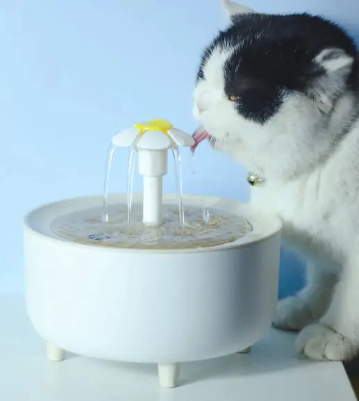 Fontaine à eau pour animaux de compagnie