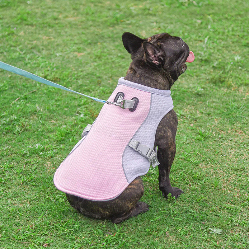 Cooling Vest for Pets