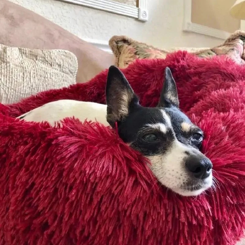 Lit rond en peluche pour chien